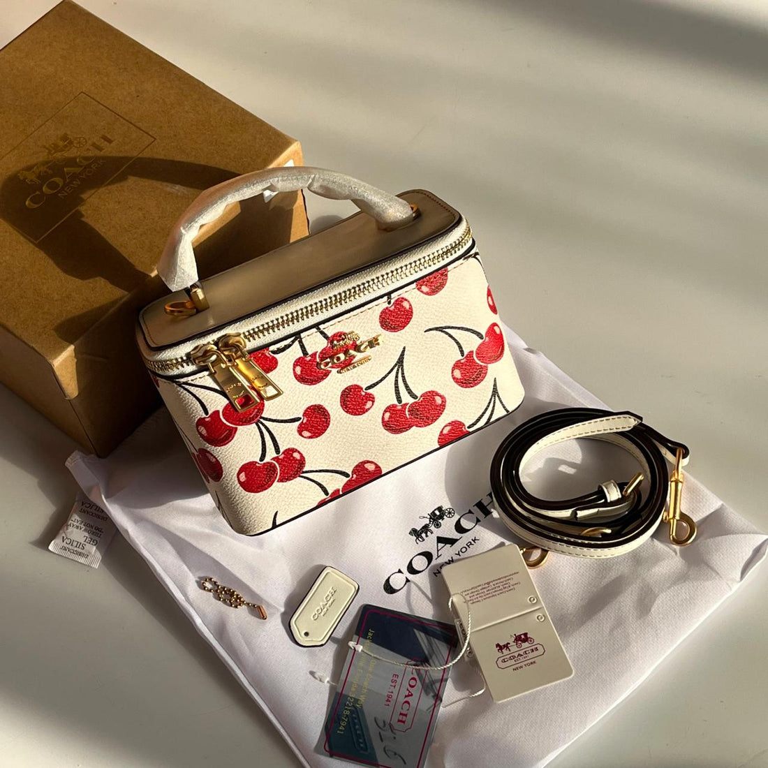 Coach Brei Bag
