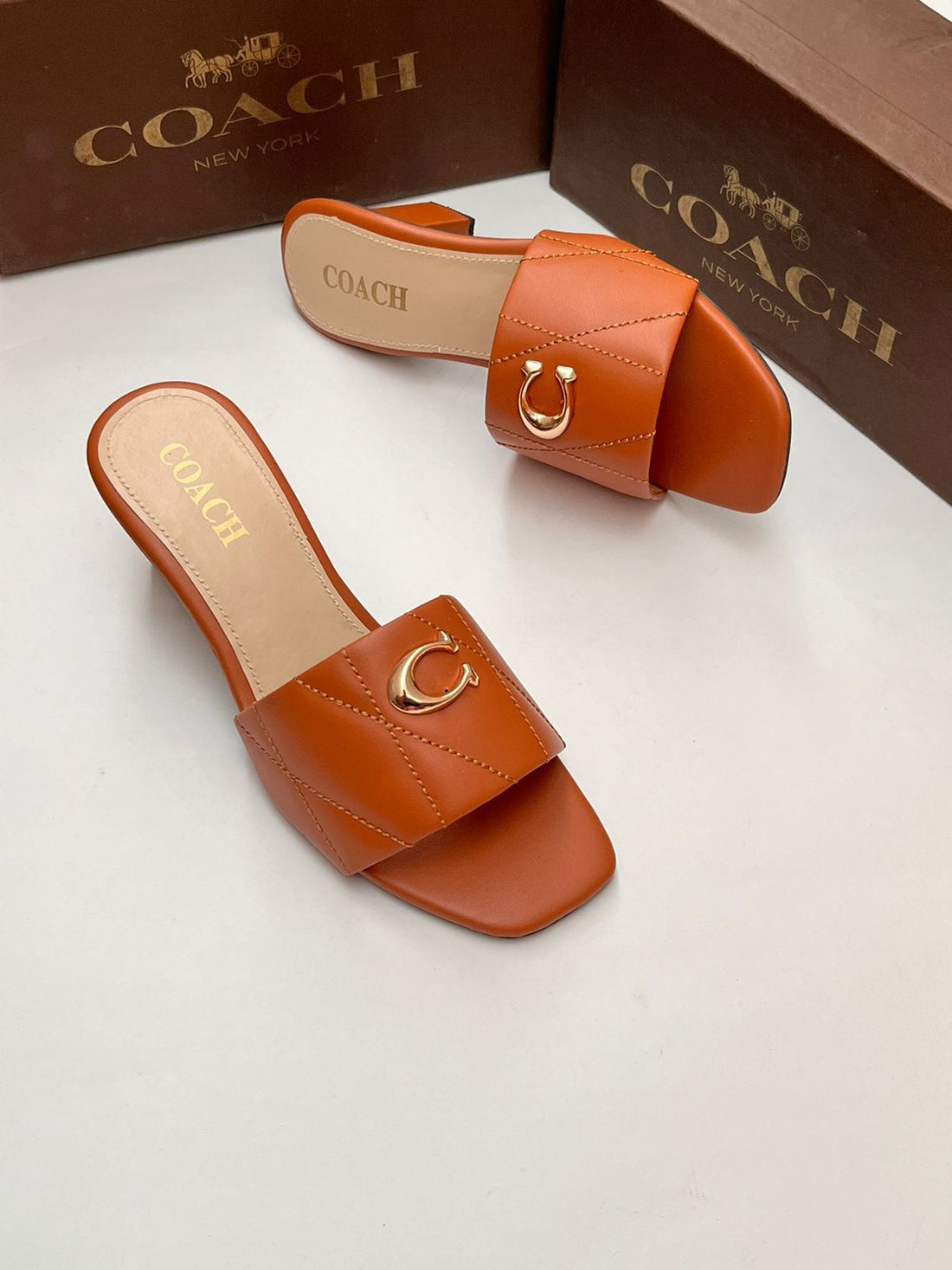Coach Heels Lobo