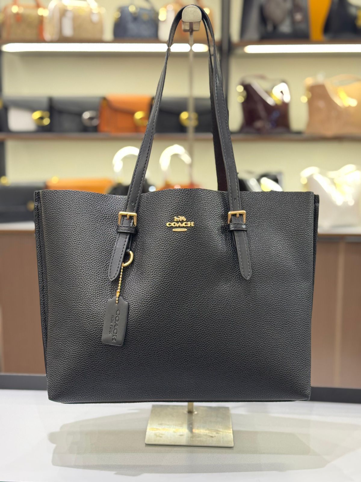Coach Mollie Tote