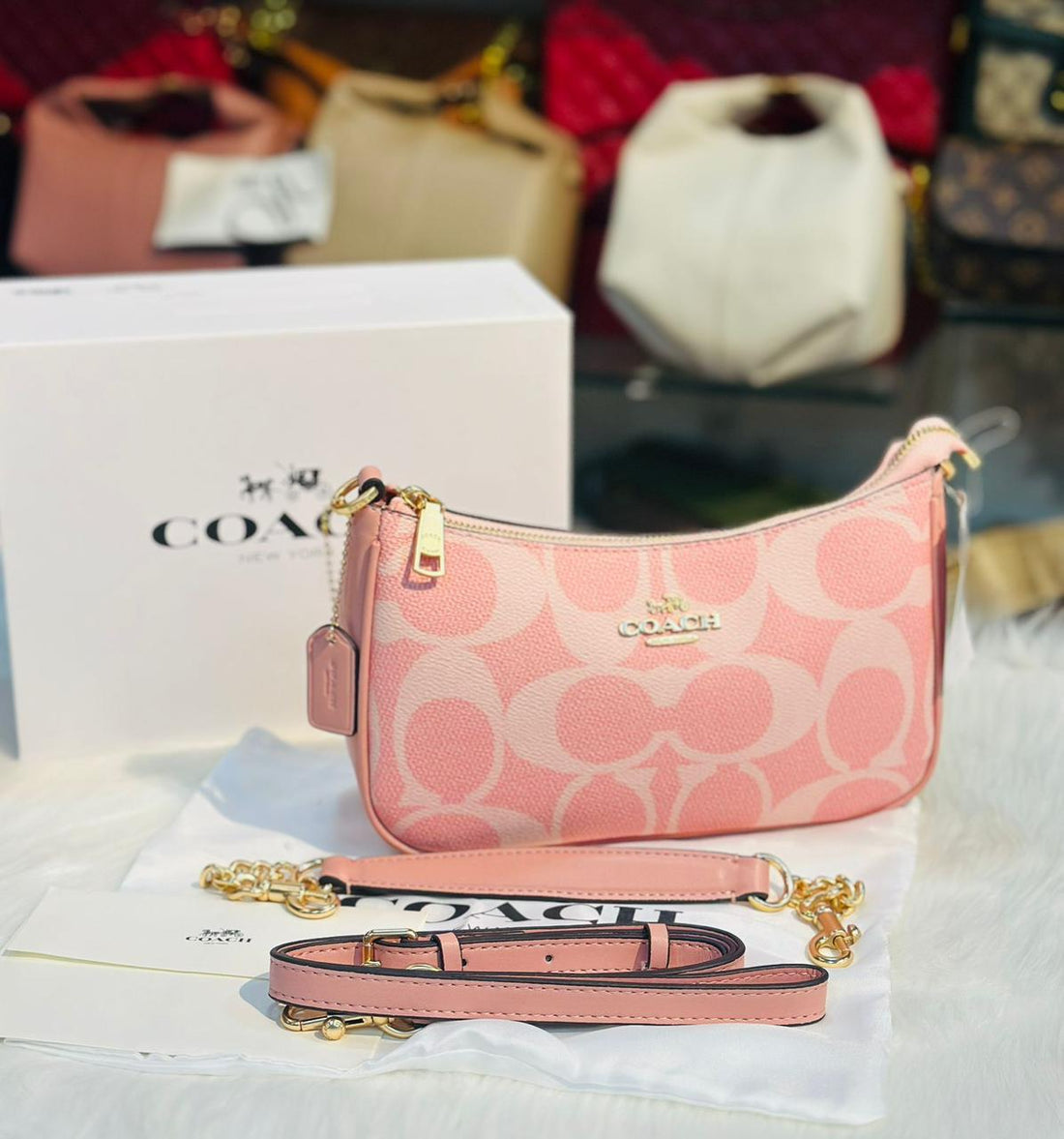 Coach Teri Shoulder Bag