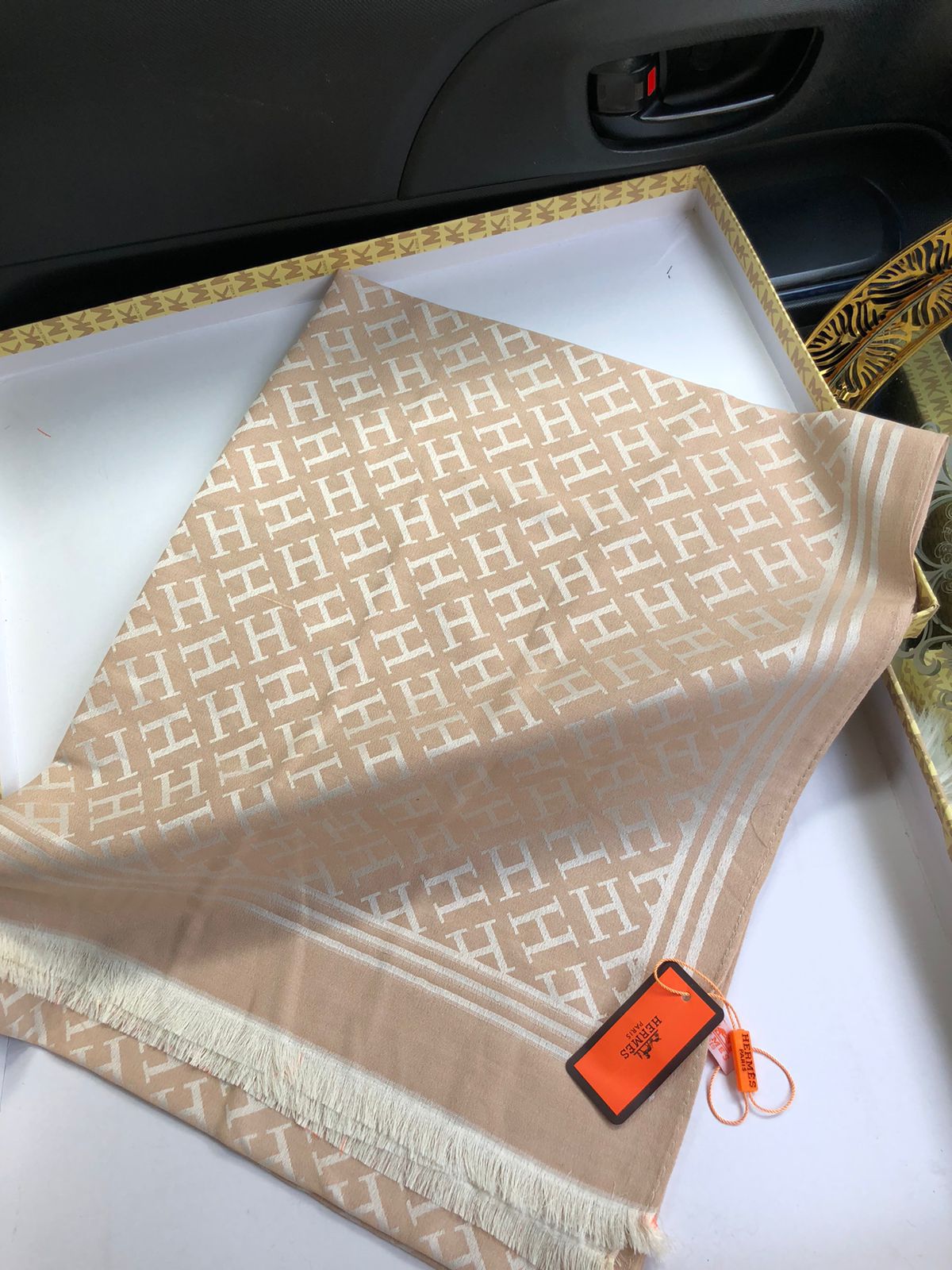 Hermes Scarves
