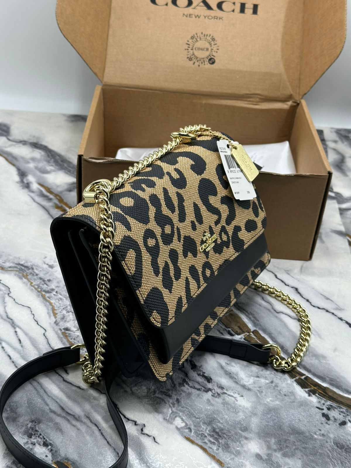 Coach Klien Bag