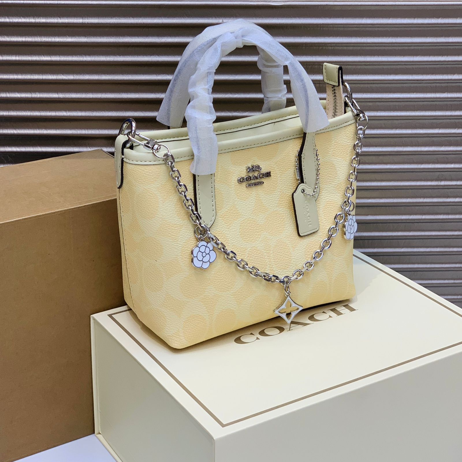 Coach Kisa Bag