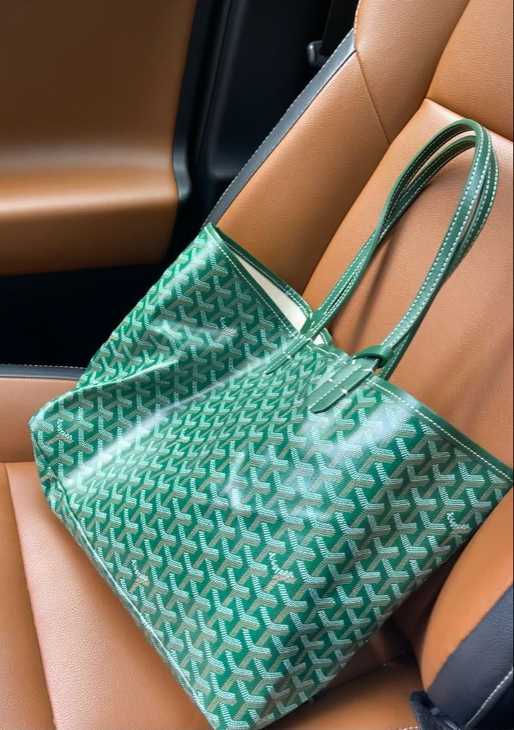 Goyard Pouch Bag