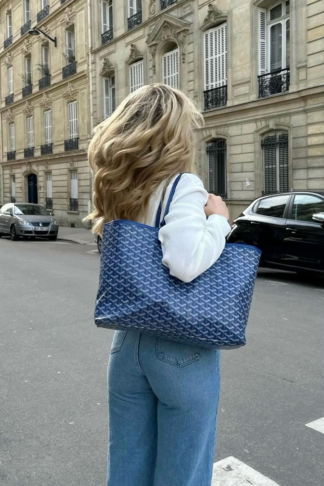 Goyard Pouch Bag