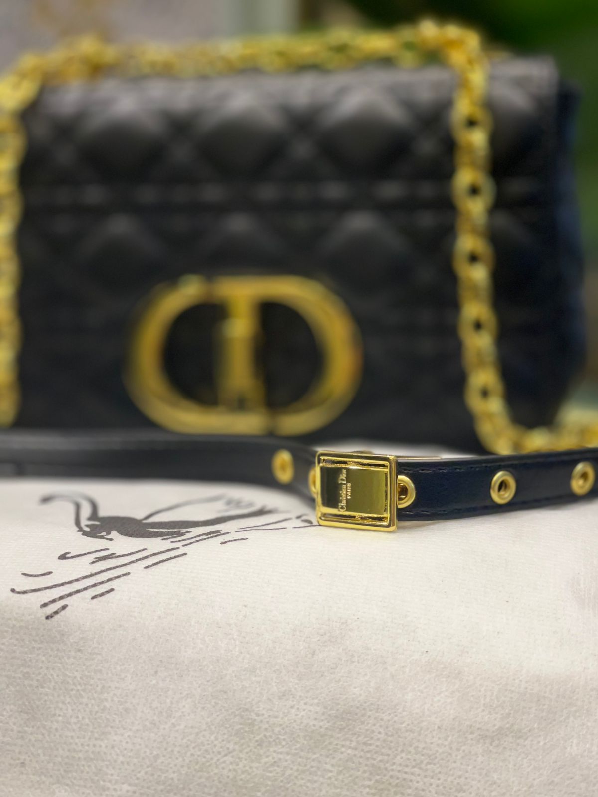 Dior Cara Crossbody Bag