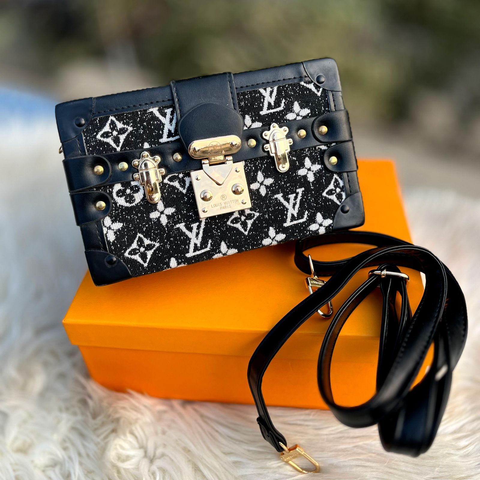 Lv Trunk Bag
