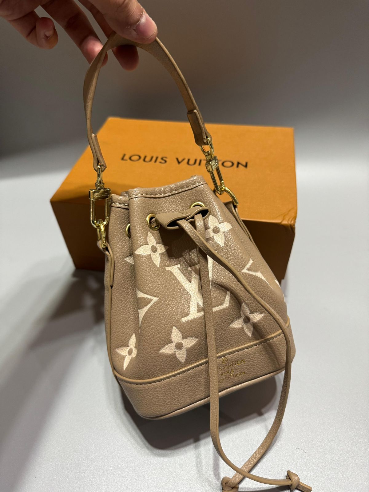 Lv Nano Noé Bag