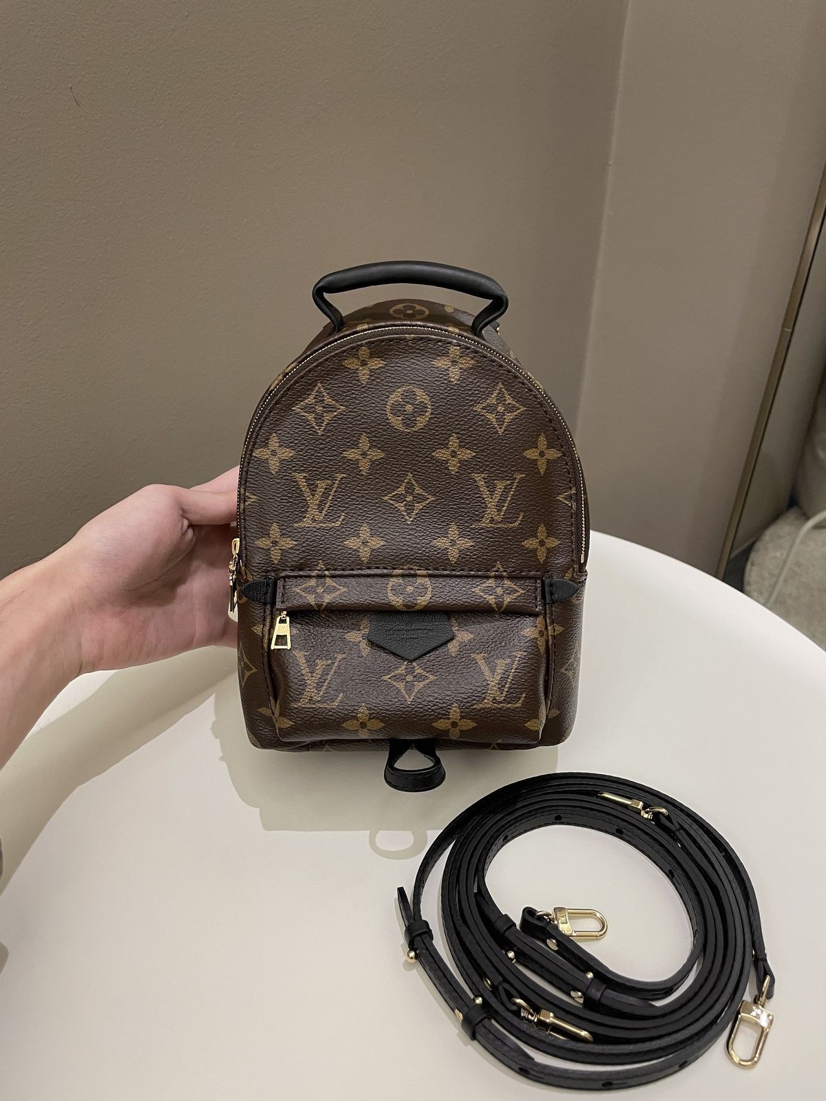 Palm Springs Lv Bagpack