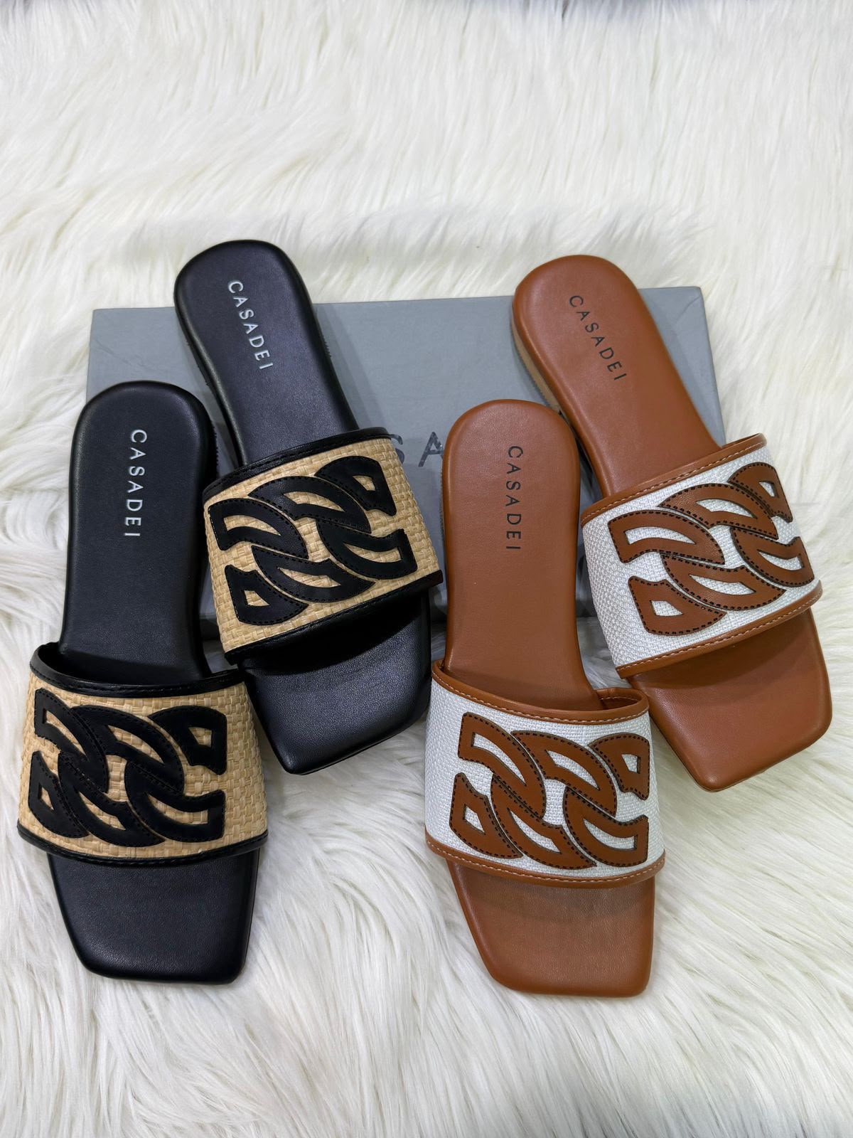 Casadei Slides