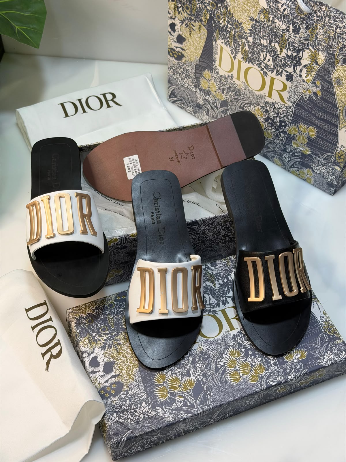 Cd Signature Slides