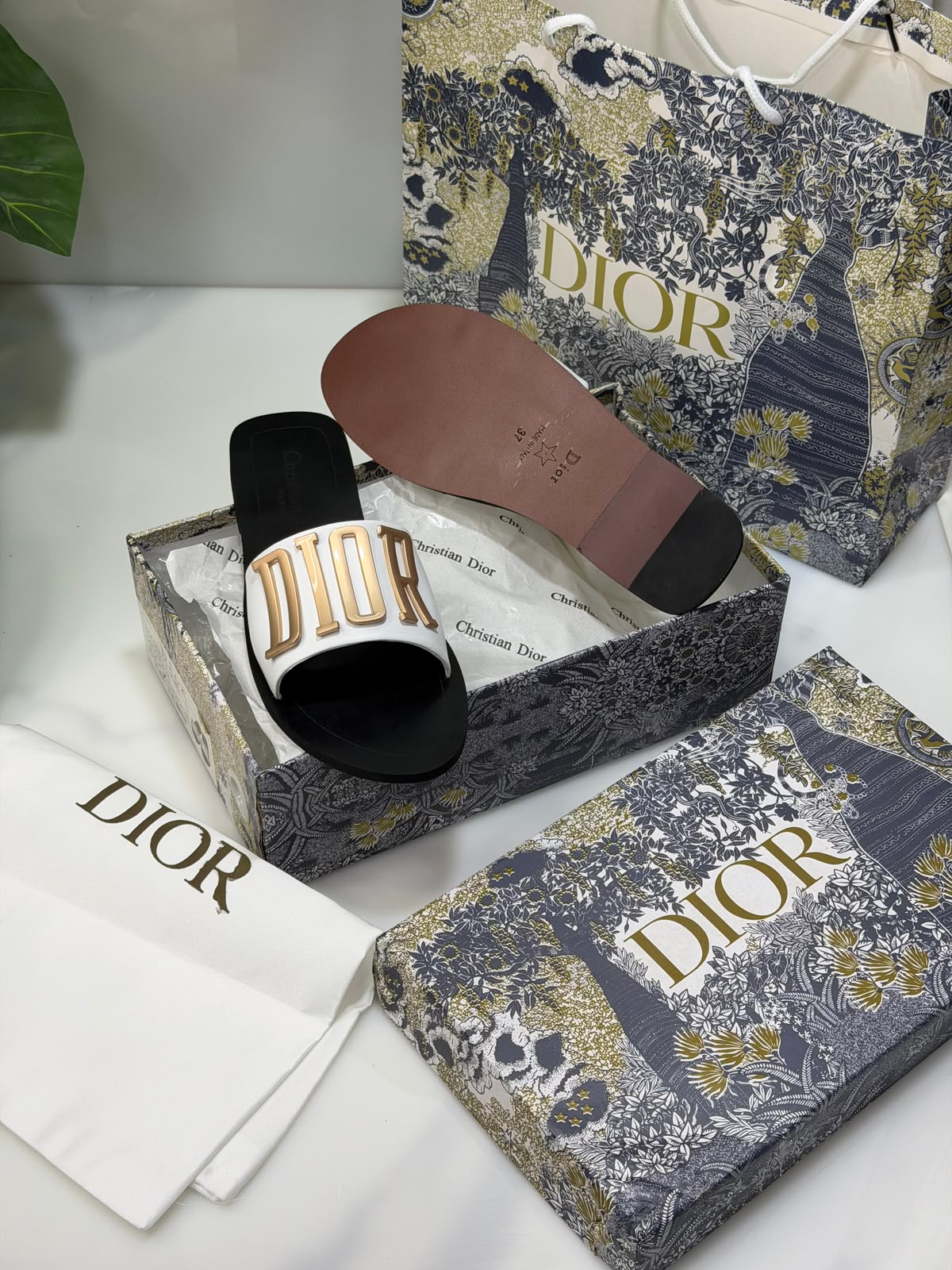 Cd Signature Slides