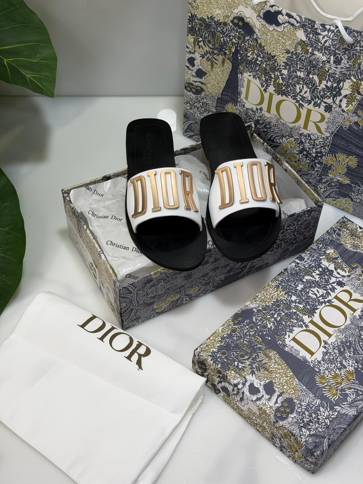 Cd Signature Slides