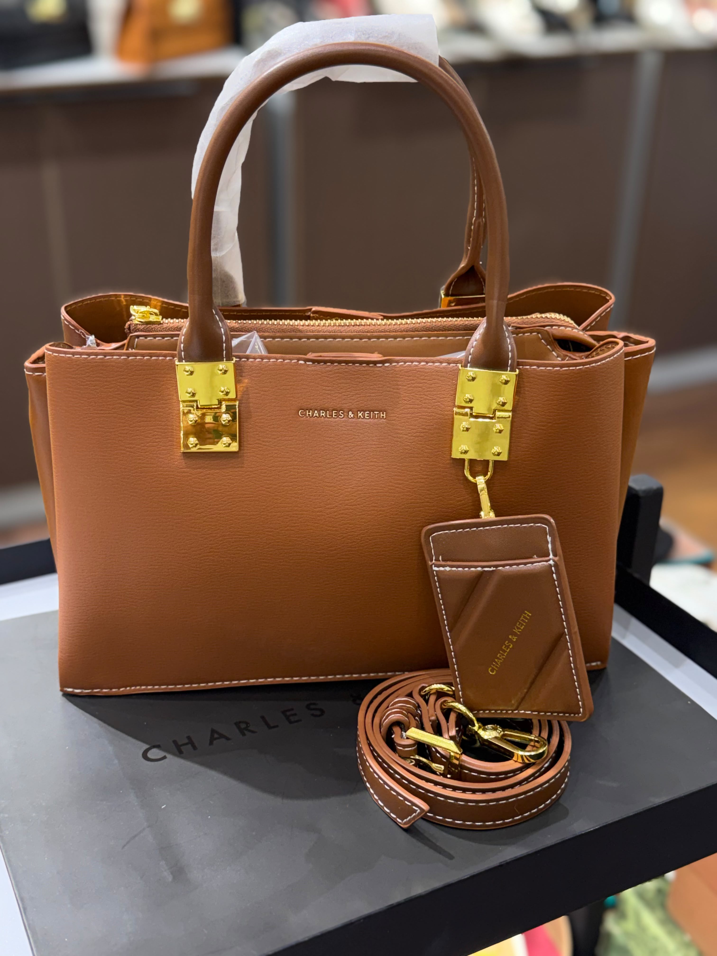 Charles & Keith Cameron Double Top Handle Bag