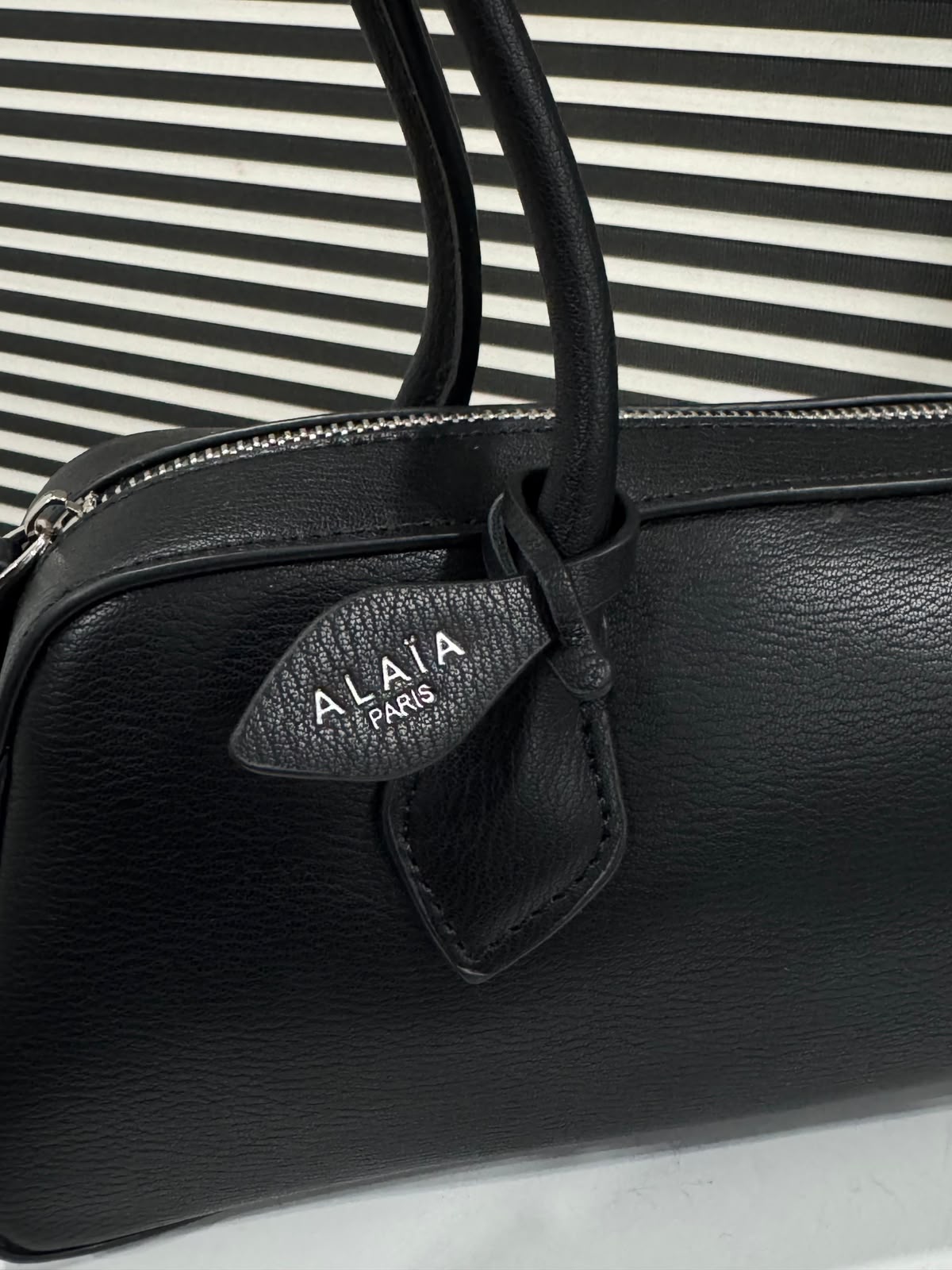 Alaia Le Teckel Medium