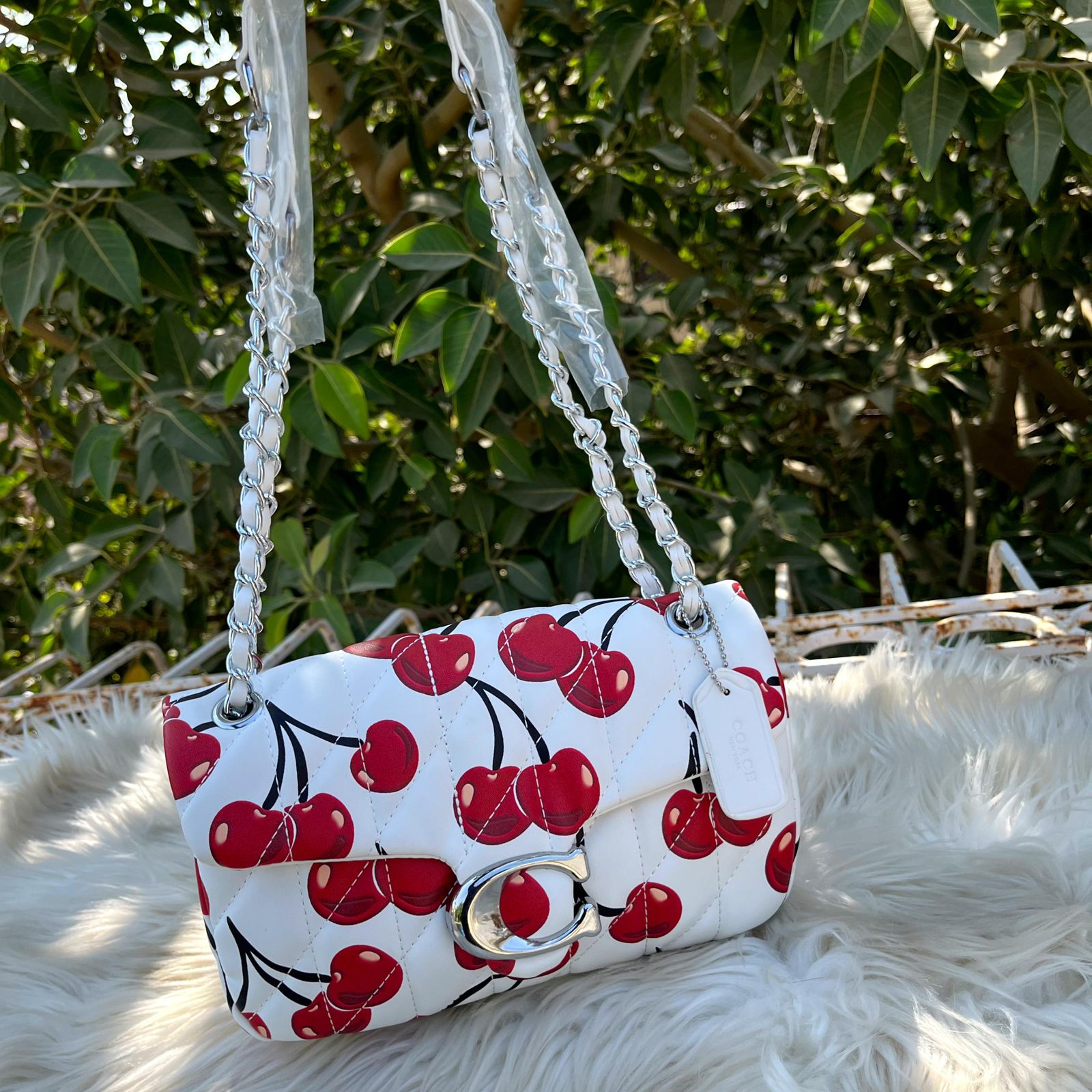 Coach Crossbody Bag