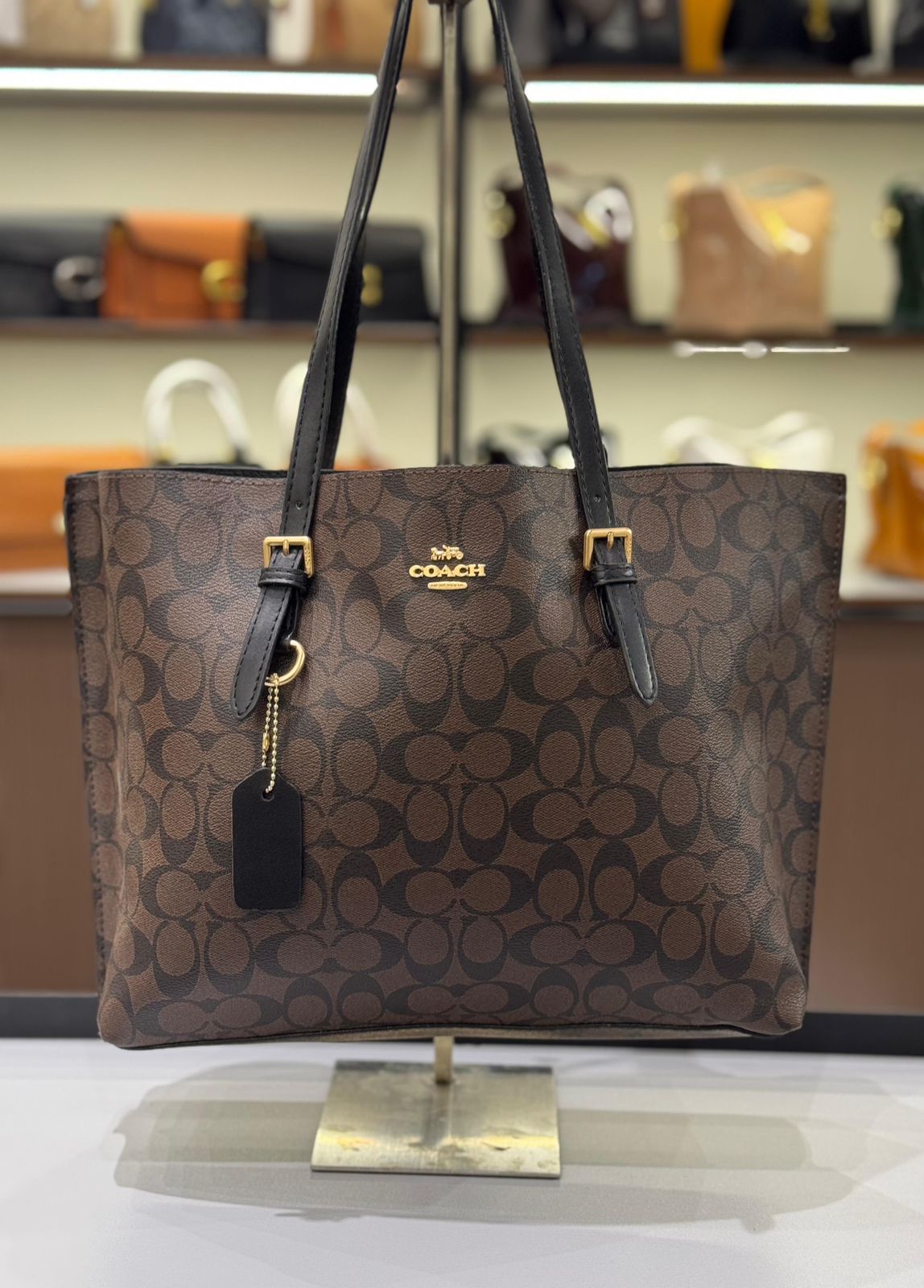 Coach Mollie Tote