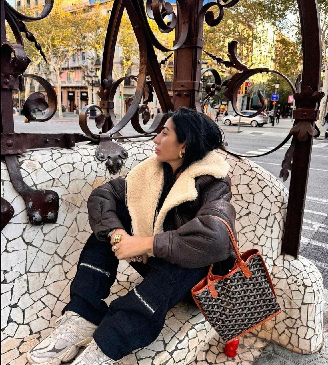 Goyard Mini Bag