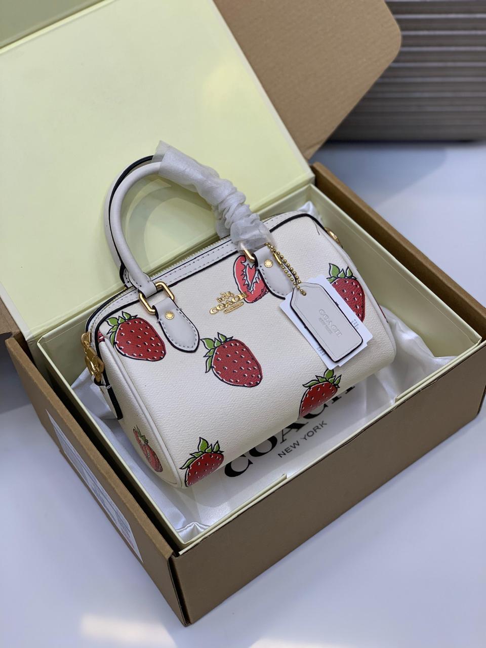 Coach Duple Small Bag